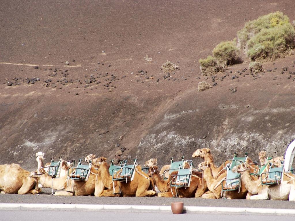 Sandos Papagayo Playa Blanca  Kültér fotó